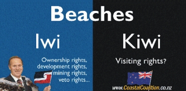 Iwi or Kiwi 
Beaches?