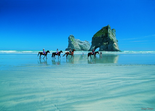 Wharariki Beach in the Abel Tasman region of New Zealand